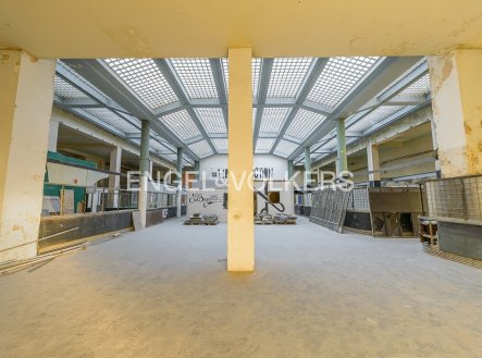 Pronájem obchodní prostory, 1 650 m²