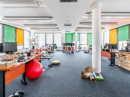 Pronájem kanceláře, 531 m²