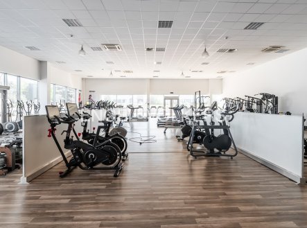 Pronájem obchodní prostory, 491 m²