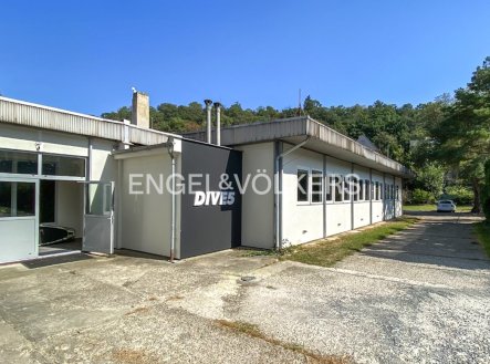 Pronájem obchodní prostory, 266 m²