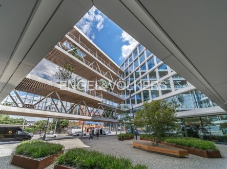 Pronájem kanceláře, 595 m²