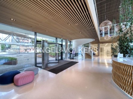 Pronájem kanceláře, 595 m²