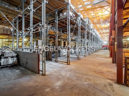 Pronájem komerčního objektu, sklad, 5 500 m²