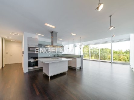 Pronájem bytu, 6+kk, 297 m²