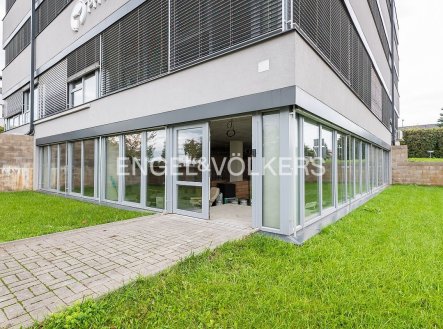 Pronájem obchodní prostory, 260 m²