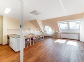 Pronájem bytu, 4+kk, 150 m²