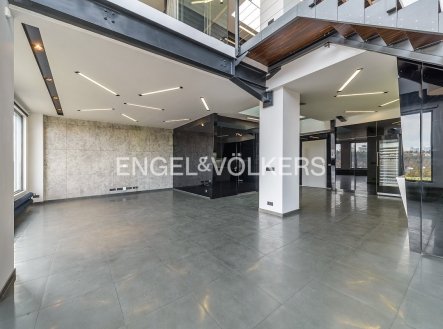Pronájem bytu, 4+kk, 421 m²