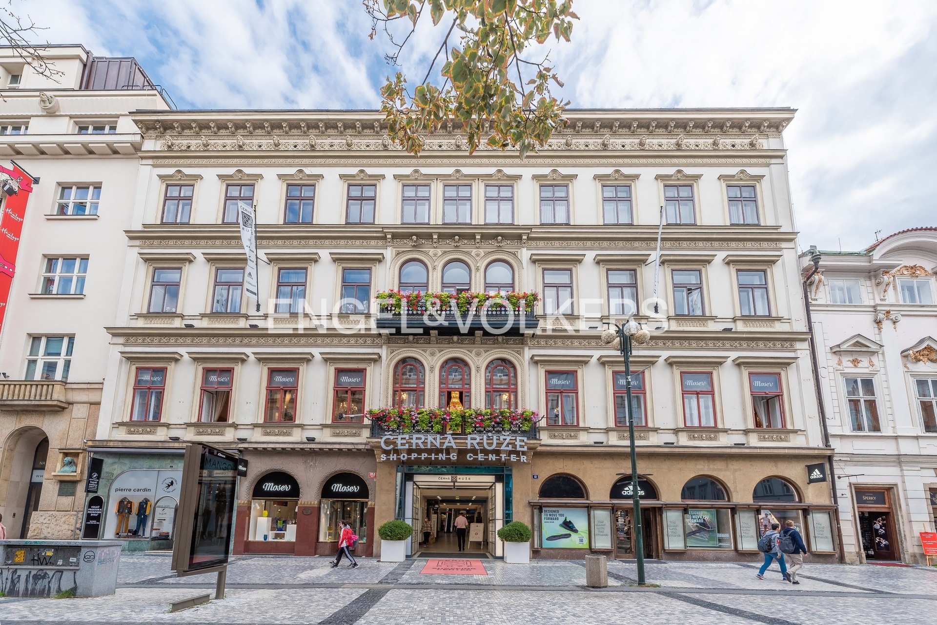 Vzhled domu