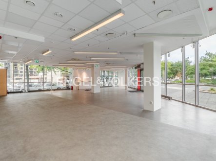 Pronájem obchodní prostory, 291 m²
