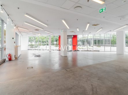Pronájem obchodní prostory, 291 m²