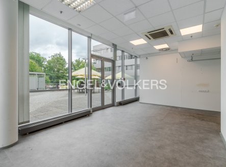 Pronájem obchodní prostory, 291 m²