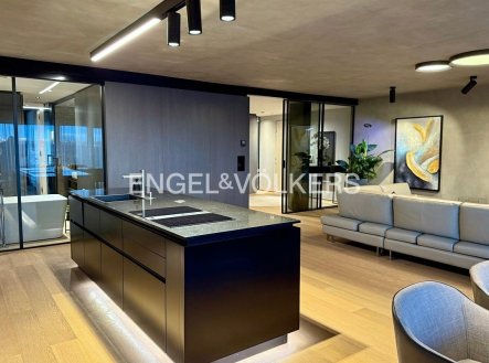 Pronájem bytu, 4+kk, 178 m²