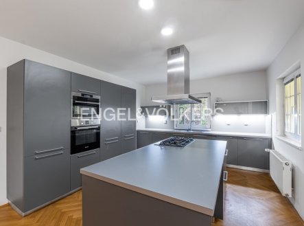 Pronájem domu/vily, 302 m²