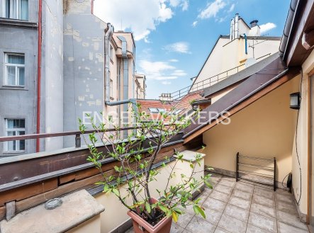Pronájem bytu, 4+kk, 221 m²