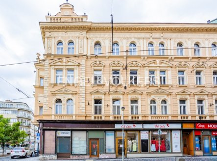 Pronájem obchodní prostory, 310 m²