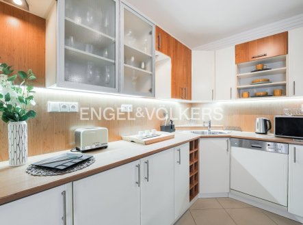 Pronájem domu/vily, 351 m²