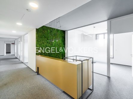 Pronájem kanceláře, 417 m²