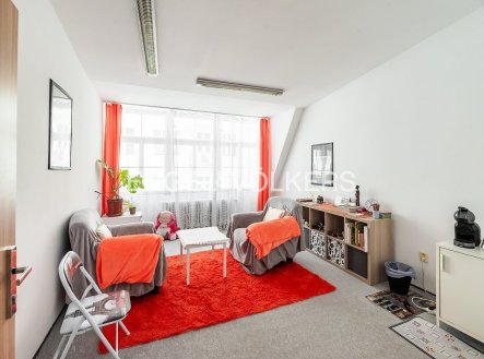 Pronájem kanceláře, 226 m²