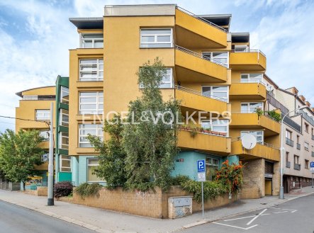 Pronájem obchodní prostory, 224 m²