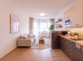 Prodej bytu, 1+kk, 30 m²