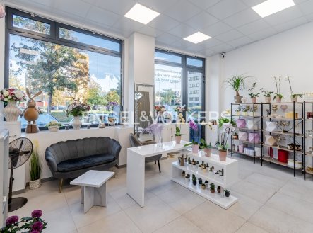 Pronájem obchodní prostory, 55 m²