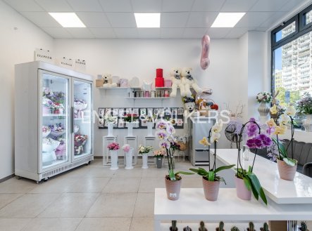Pronájem obchodní prostory, 55 m²