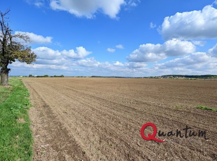 Prodej pozemku, zemědělská půda, 16 029 m²