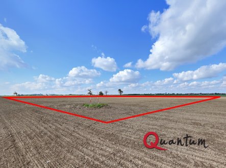 Prodej pozemku, zemědělská půda, 16 029 m²