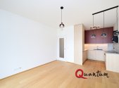 Pronájem bytu, 2+kk, 53 m²
