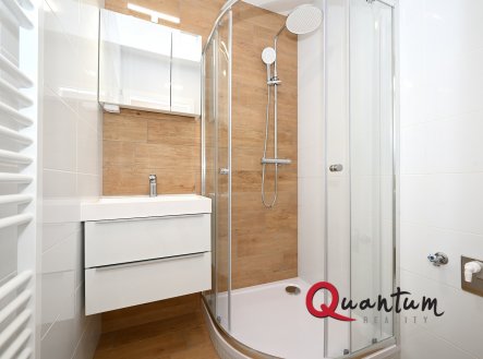 Pronájem bytu, 2+1, 55 m²