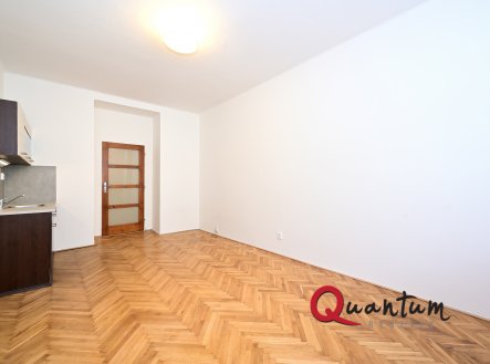 Pronájem bytu, 1+kk, 29 m²