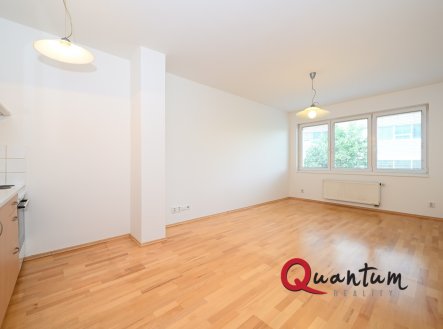Pronájem bytu, 1+kk, 30 m²