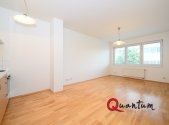 Pronájem bytu, 1+kk, 30 m²
