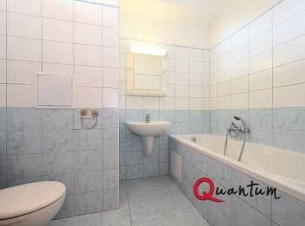 Pronájem bytu, 1+kk, 30 m²