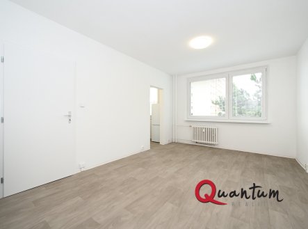 Pronájem bytu, 1+kk, 28 m²