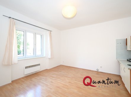 Pronájem bytu, 1+kk, 33 m²