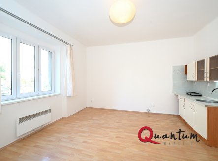 Pronájem bytu, 1+kk, 33 m²
