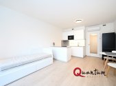 Pronájem bytu, 1+kk, 33 m²