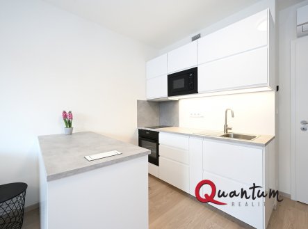 Pronájem bytu, 1+kk, 33 m²