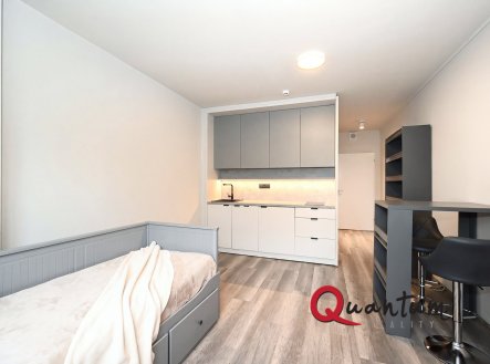 Pronájem bytu, 1+kk, 23 m²