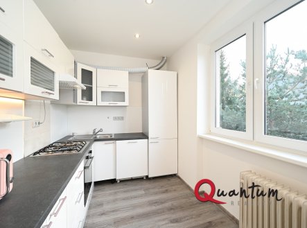 Pronájem bytu, 2+1, 49 m²