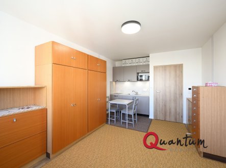 Pronájem bytu, 1+kk, 27 m²