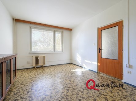 Prodej bytu, 1+1, 42 m²