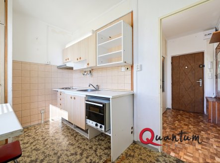 Prodej bytu, 1+1, 42 m²