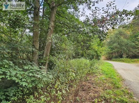 . | Prodej - pozemek, trvalý travní porost, 3 589 m²