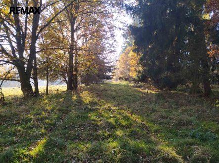 Prodej pozemku, trvalý travní porost, 20 332 m²