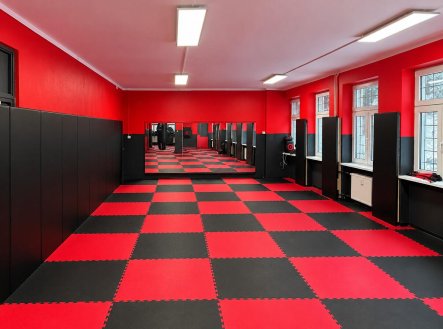 Prodej jiné komerční nemovitosti, 170 m²
