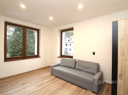 Pronájem bytu, 1+1, 35 m²