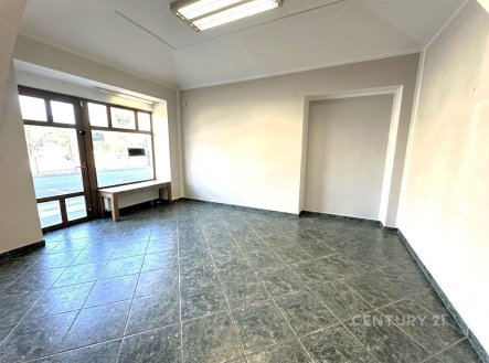 Pronájem obchodní prostory, 44 m²