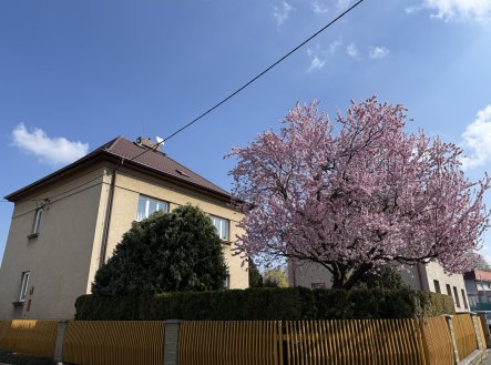 Prodej domu/vily, 429 m²